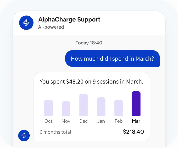 Support chat: spending per month for six months with the total